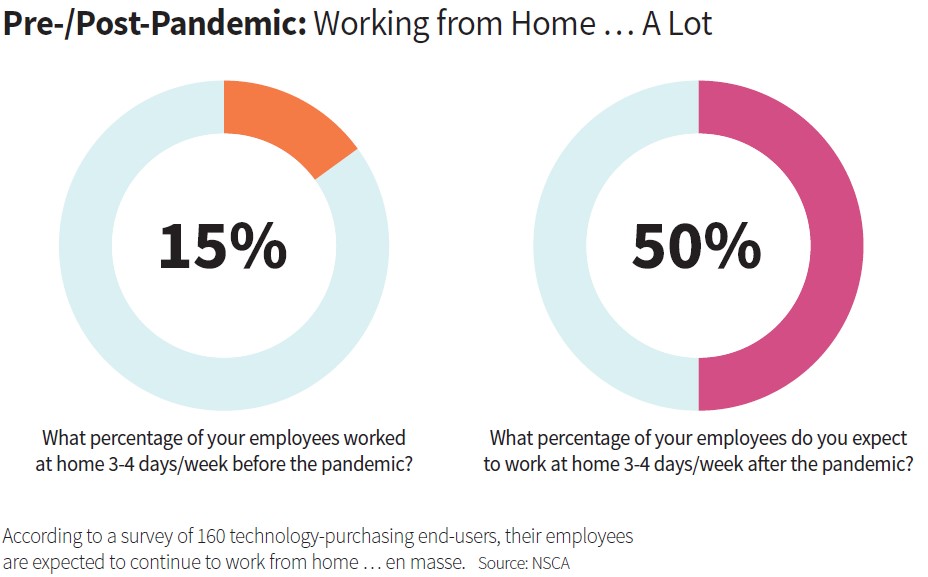 Working From Home Infographic